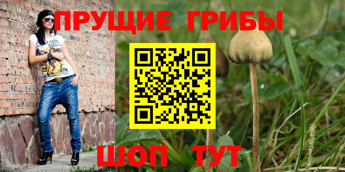 Людиново  Псилоцибиновые грибы мухоморы  Вход с VPN 