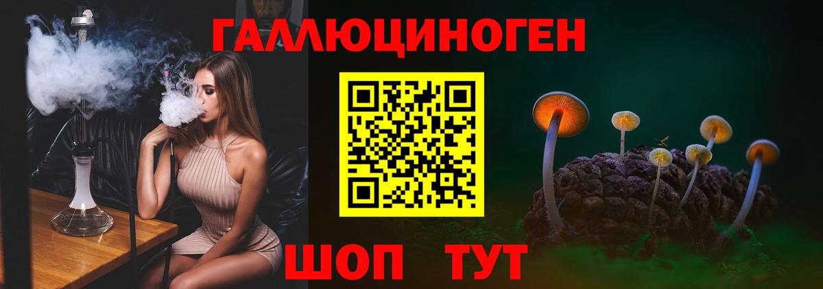 Псилоцибиновые грибы MAGIC MUSHROOMS Людиново